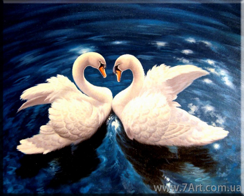 Картины Животных, Art. STUD1511122